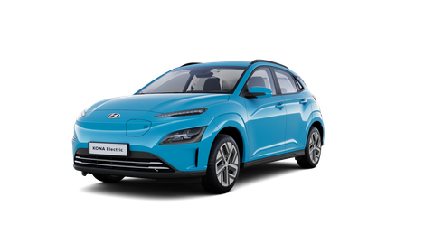 KONA electric Business